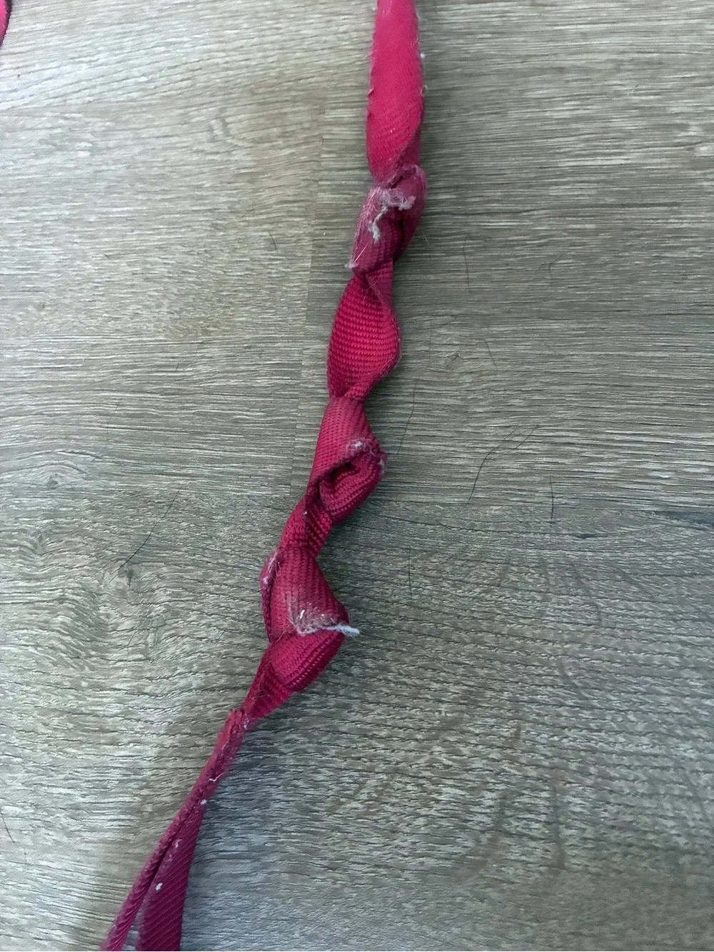 Coastal Red Nylon Dog Leash